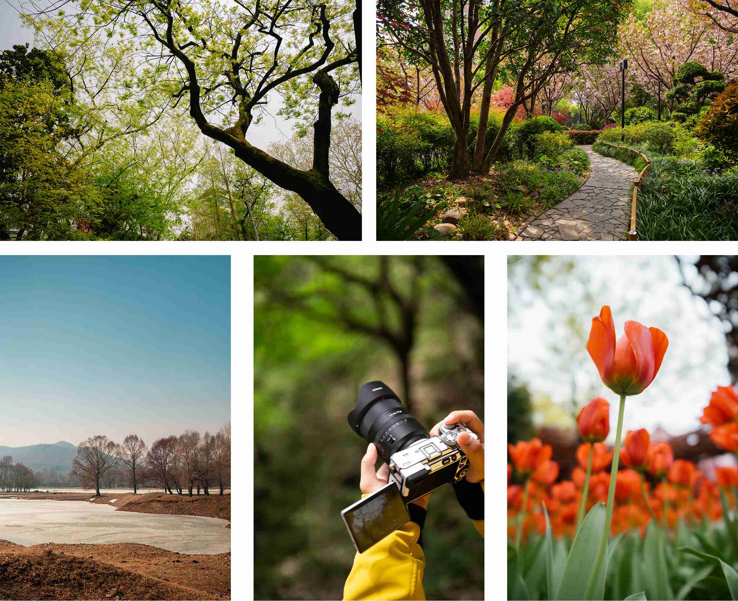 7artisans-af-24mm-f1-8-full-frame-sony-e-pp-6